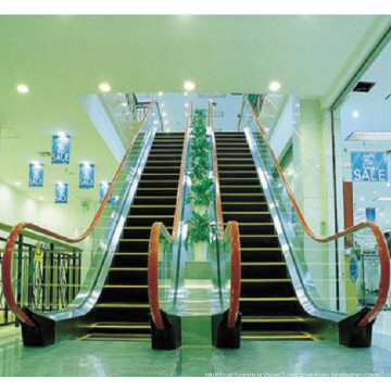 1000mm 0.5m/S Electric Residential Price Outdoor Escalator